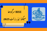 BISE Sargodha 2nd Year Result 2025