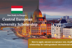Central European University Scholarship
